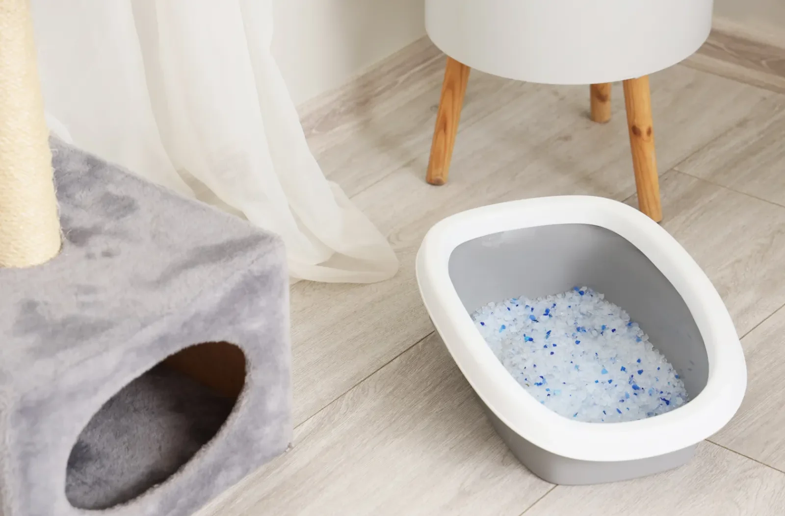 Crystal Cat Litter from ISEMIPET
