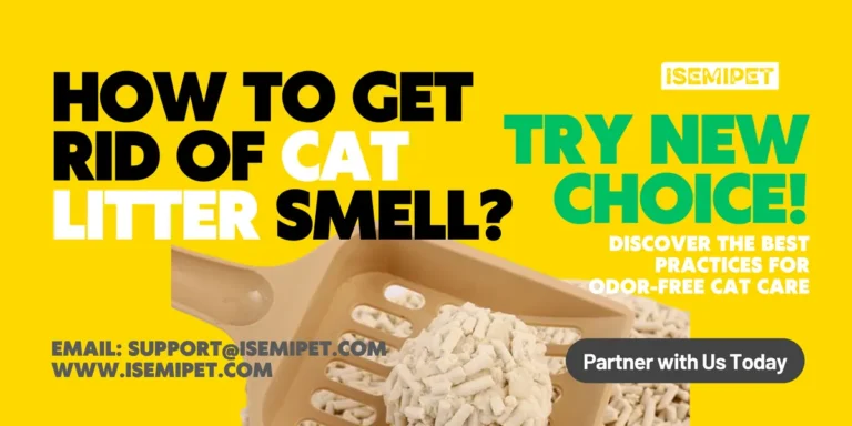 how to get rid of cat litter smell? A short guide for pet supply businesses from ISEMIPET