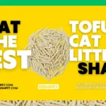 what-is-the-best-tofu-cat-litter-shape_-by-ISEMIPET-1