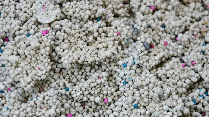 Close-up of bentonite cat litter clump with multi-colored particles from ISEMIPET