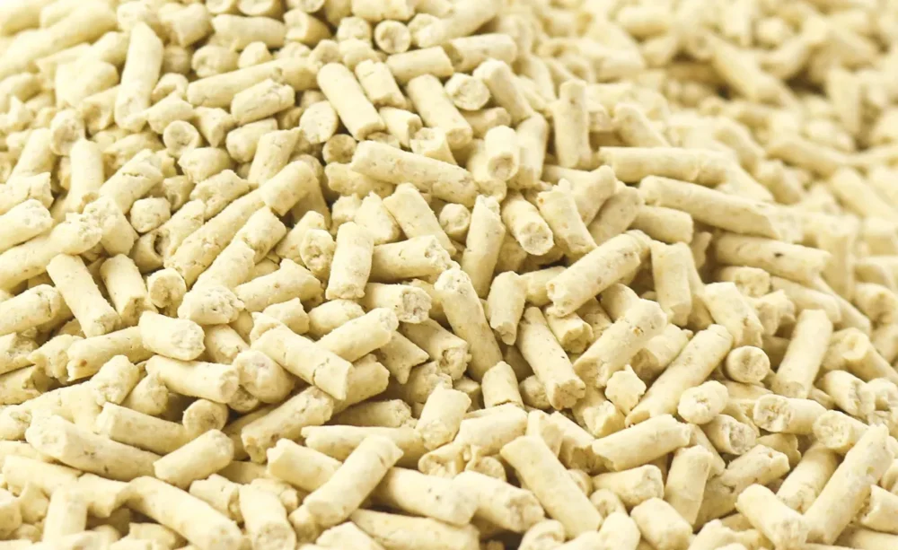 Corn Cat Litter from Isemipet