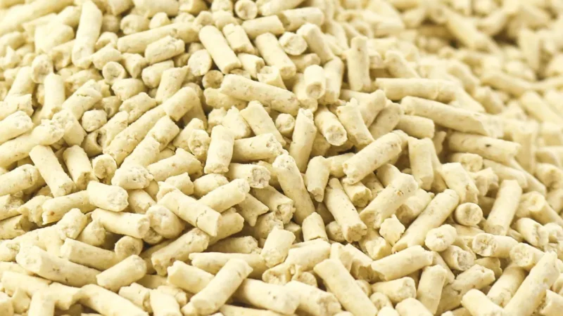 Corn Cat Litter from ISEMIPET