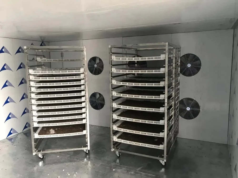Industrial Microwave Drying Room for Black Soldier Fly Larvae Production Made by Poworms Brand from Isemipet