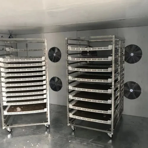 Industrial Microwave Drying Room for Black Soldier Fly Larvae Production Made by Poworms Brand from Isemipet