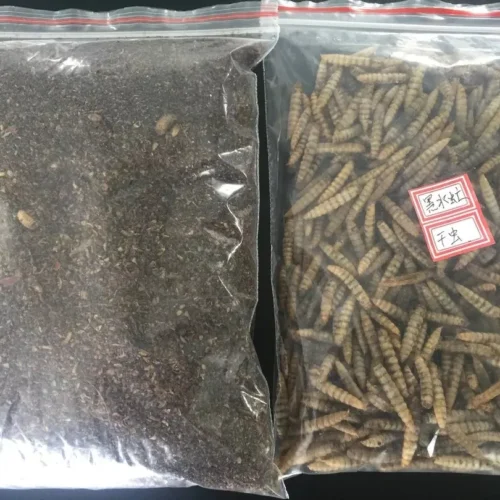 Microwave Dried Black Soldier Fly Larvae and Powder in Bulk Plastic Bags Made by Poworms Brand from Isemipet