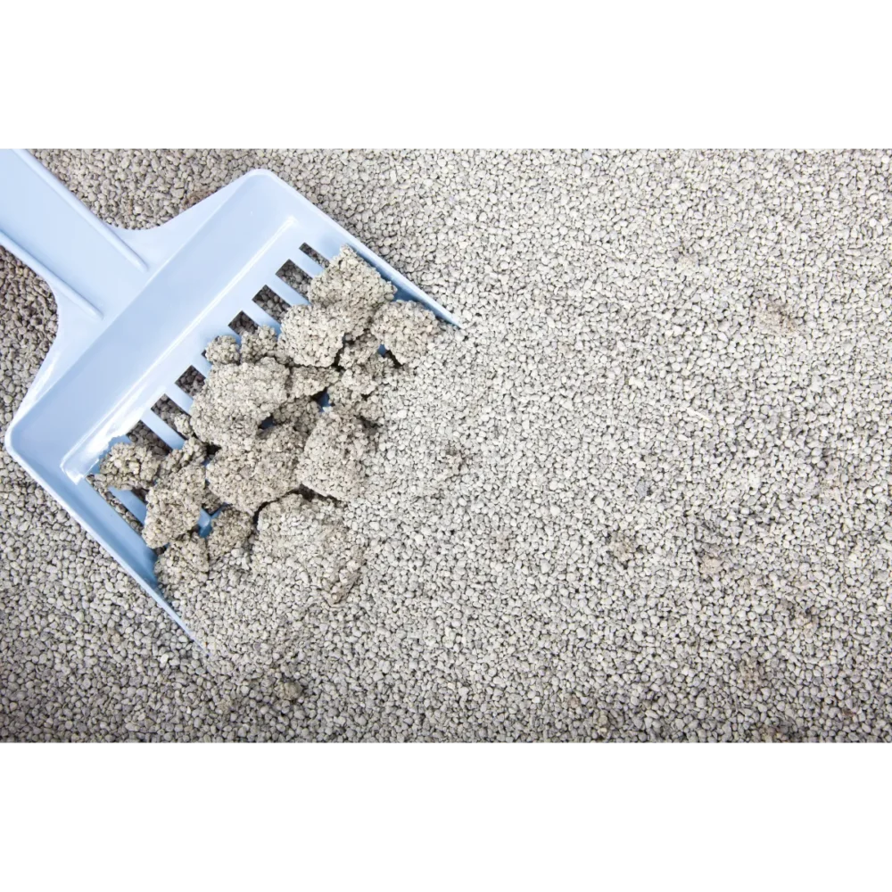 Natural and Fast Clumping Bentonite Cat Litter from Isemipet