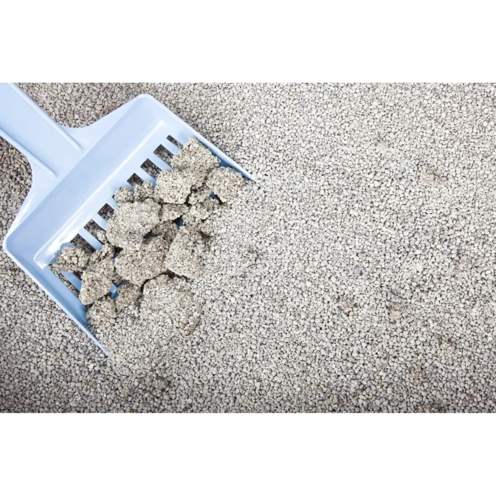 Natural fast-clumping bentonite cat litter on scoop by ISEMIPET
