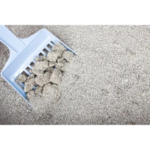 Natural Fast clumping Bentonite Cat Litter on Scoop by Isemipet