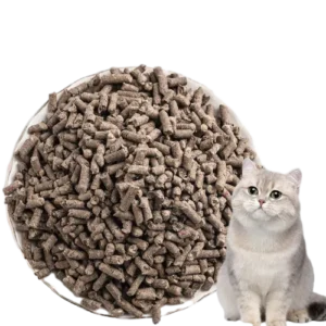 Gray Cat Sitting Beside a Pile of Paper Cat Litter Pellets