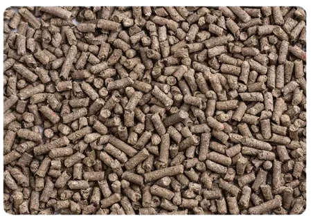 Top down View of Neatly Spread Paper Litter Pellets