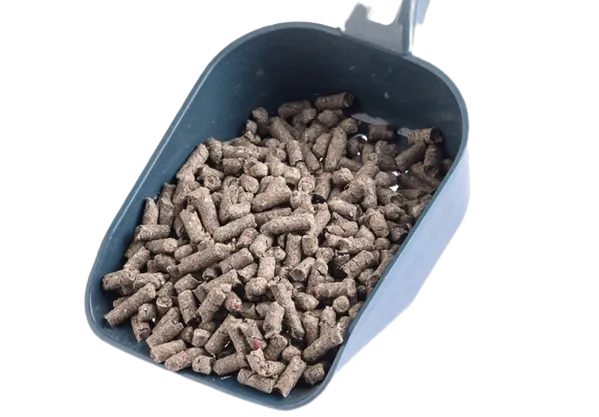 Hand Holding Blue Scoop Filled with Brown Paper Litter