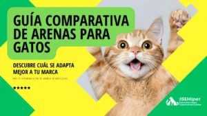 Gato Naranja Con Expresión Alegre Junto Al Título guía Comparativa De Arenas Para Gatos