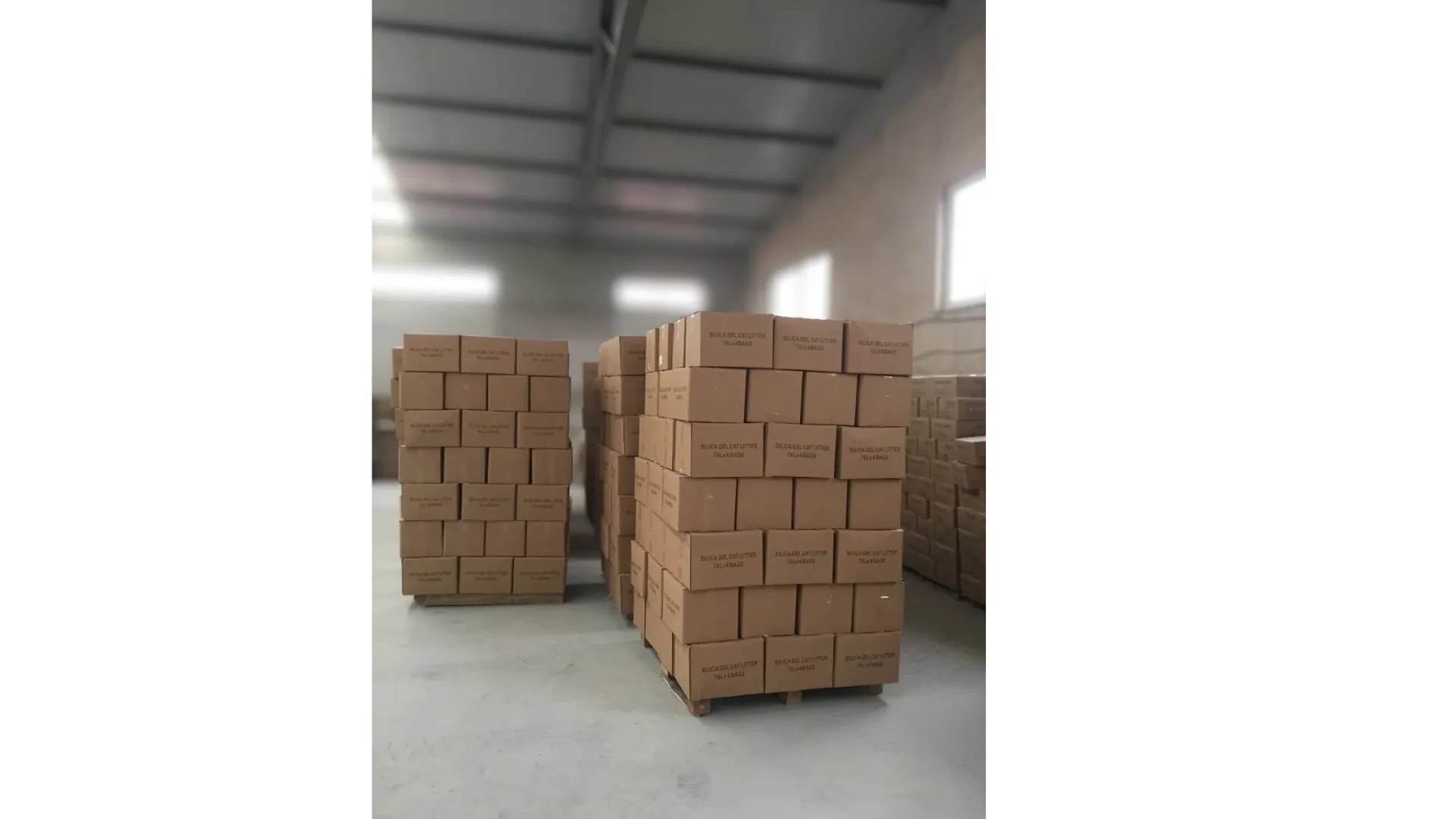 ISEMIPET palletized cartons in warehouse before shipment